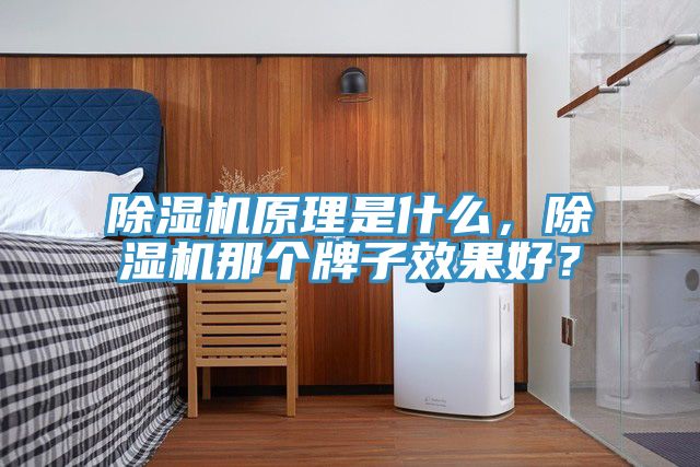 91看片软件大全原理是什麽，91看片软件大全那個牌子效果好？