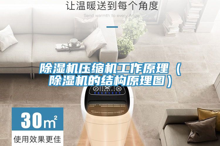 91看片软件大全壓縮機工作原理（91看片软件大全的結構原理圖）
