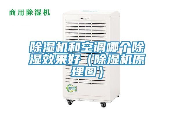 91看片软件大全和空調哪個除濕效果好（91看片软件大全原理圖）