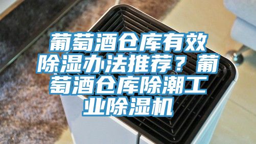 葡萄酒倉庫有效除濕辦法推薦？葡萄酒倉庫除潮工業91看片软件大全