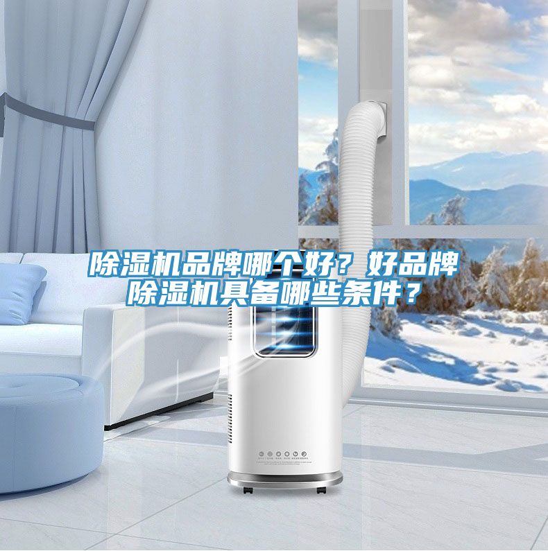 91看片软件大全品牌哪個好？好品牌91看片软件大全具備哪些條件？