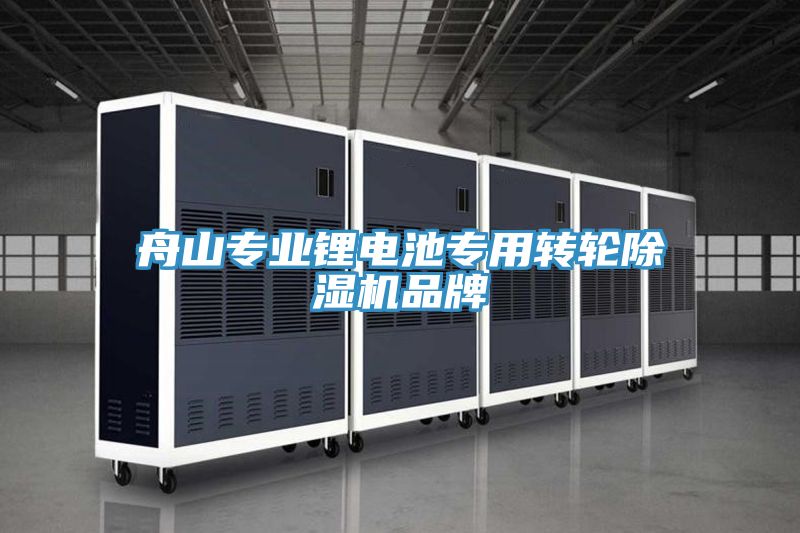 舟山專業鋰電池專用轉輪91看片软件大全品牌