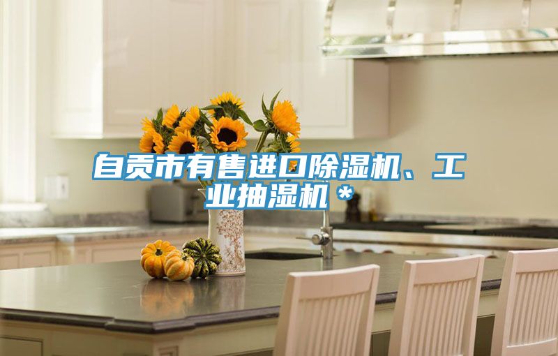 自貢市有售進口91看片软件大全、工業抽濕機＊