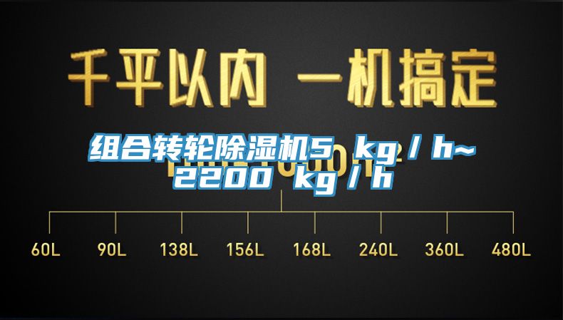 組合轉輪91看片软件大全5 kg／h~2200 kg／h