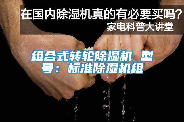 組合式轉輪91看片软件大全 型號：標準91看片软件大全組