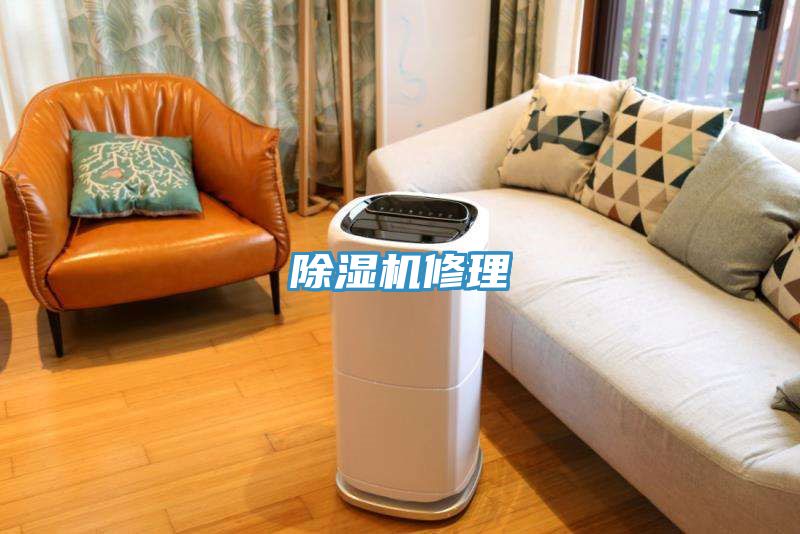 91看片软件大全修理