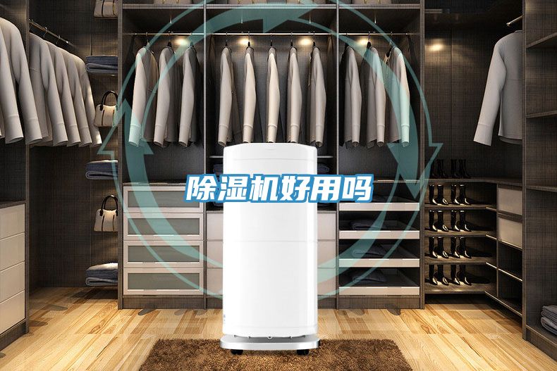 91看片软件大全好用嗎