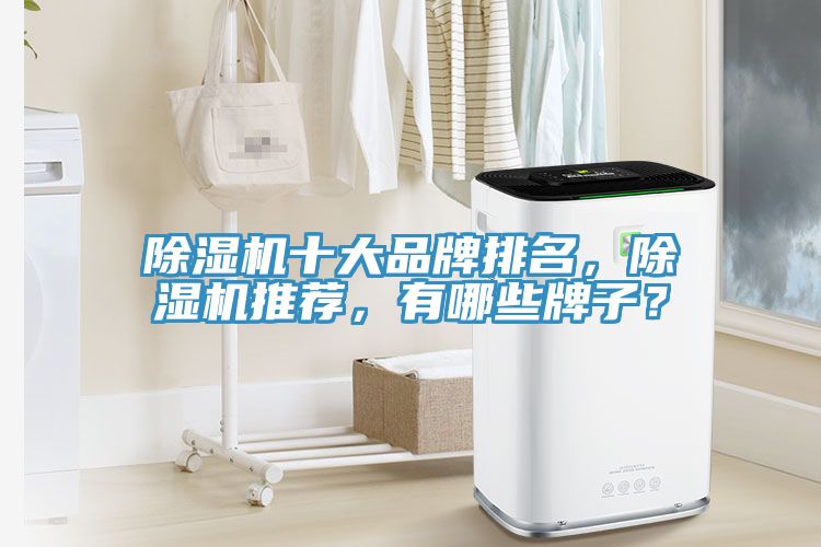 91看片软件大全十大品牌排名，91看片软件大全推薦，有哪些牌子？