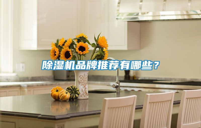91看片软件大全品牌推薦有哪些？
