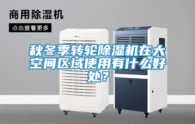 秋冬季轉輪91看片软件大全在大空間區域使用有什麽好處？