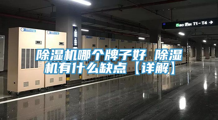 91看片软件大全哪個牌子好 91看片软件大全有什麽缺點【詳解】