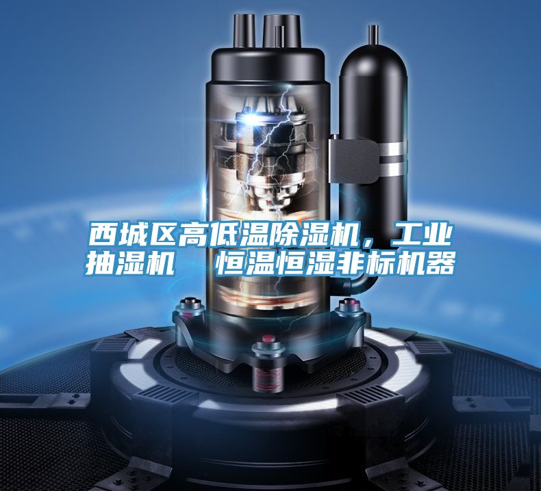 西城區高低溫91看片软件大全，工業抽濕機  恒溫恒濕非標機器