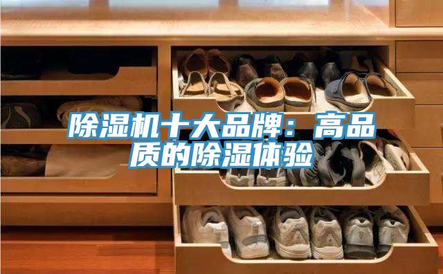 91看片软件大全十大品牌：高品質的除濕體驗