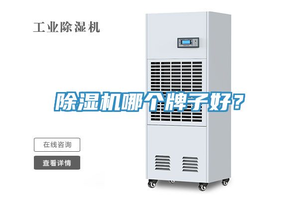 91看片软件大全哪個牌子好？
