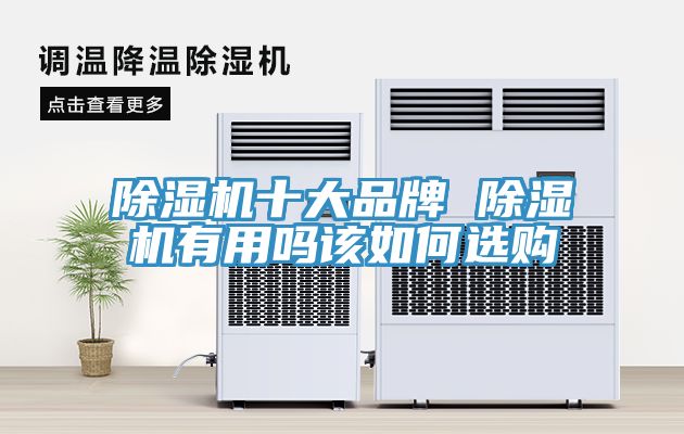91看片软件大全十大品牌 91看片软件大全有用嗎該如何選購