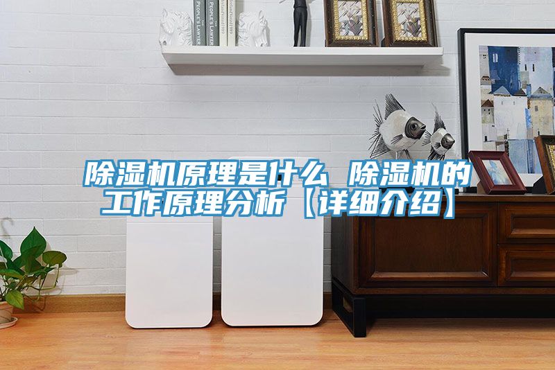 91看片软件大全原理是什麽 91看片软件大全的工作原理分析【詳細介紹】