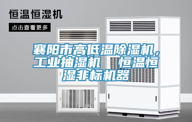襄陽市高低溫91看片软件大全，工業抽濕機  恒溫恒濕非標機器