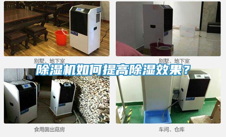 91看片软件大全如何提高除濕效果？