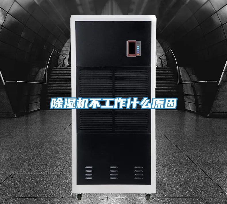 91看片软件大全不工作什麽原因