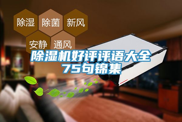 91看片软件大全好評評語大全75句錦集