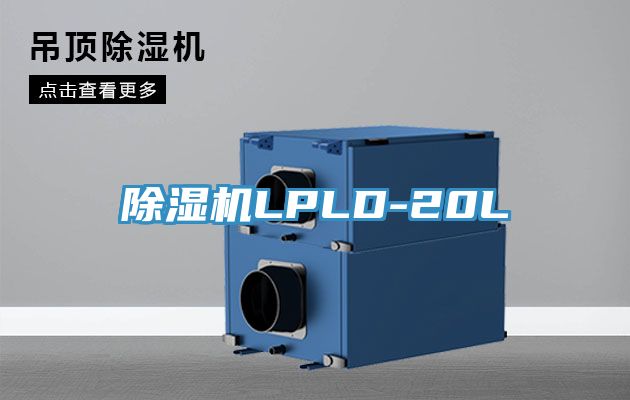 91看片软件大全LPLD-20L
