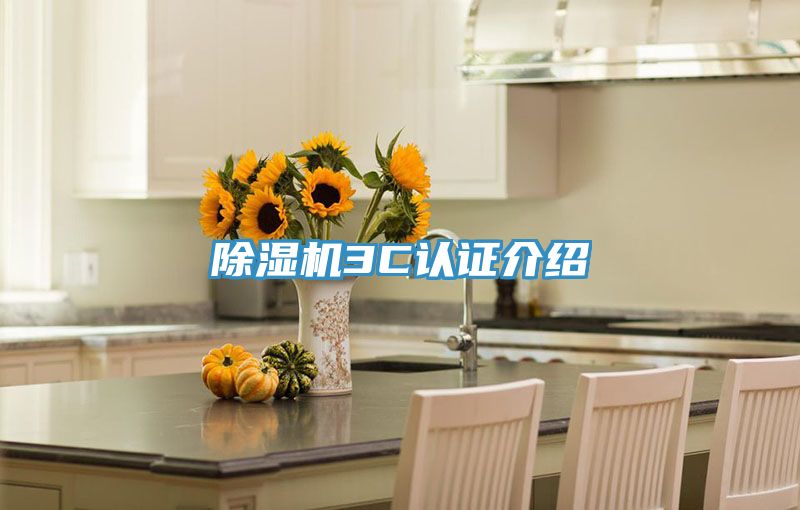 91看片软件大全3C認證介紹