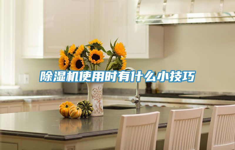 91看片软件大全使用時有什麽小技巧
