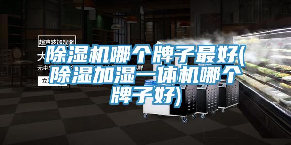 91看片软件大全哪個牌子最好(除濕加濕一體機哪個牌子好)