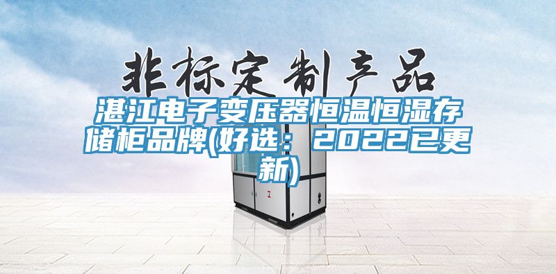 湛江電子變壓器恒溫恒濕存儲櫃品牌(好選：2022已更新)