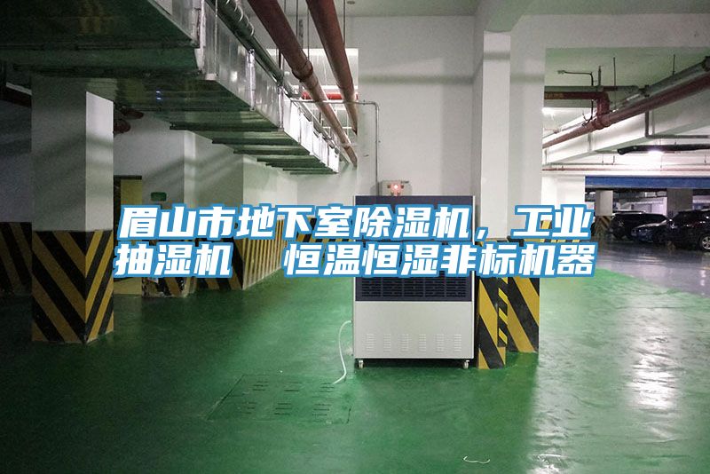 眉山市地下室91看片软件大全，工業抽濕機  恒溫恒濕非標機器