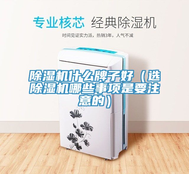 91看片软件大全什麽牌子好（選91看片软件大全哪些事項是要注意的）