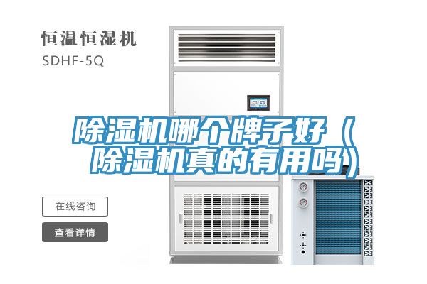 91看片软件大全哪個牌子好（ 91看片软件大全真的有用嗎）