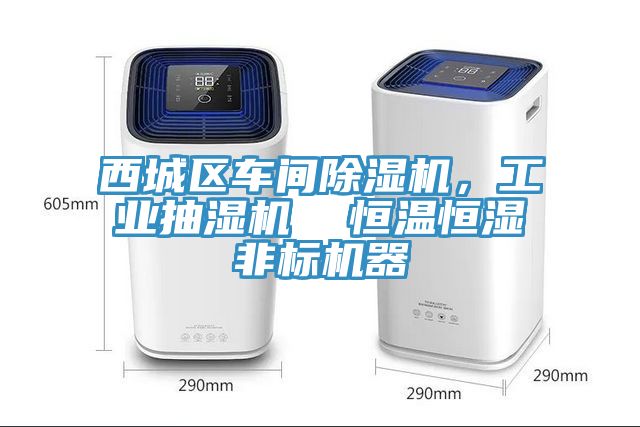 西城區車間91看片软件大全，工業抽濕機  恒溫恒濕非標機器