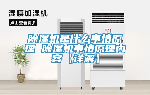 91看片软件大全是什麽事情原理 91看片软件大全事情原理內容【詳解】