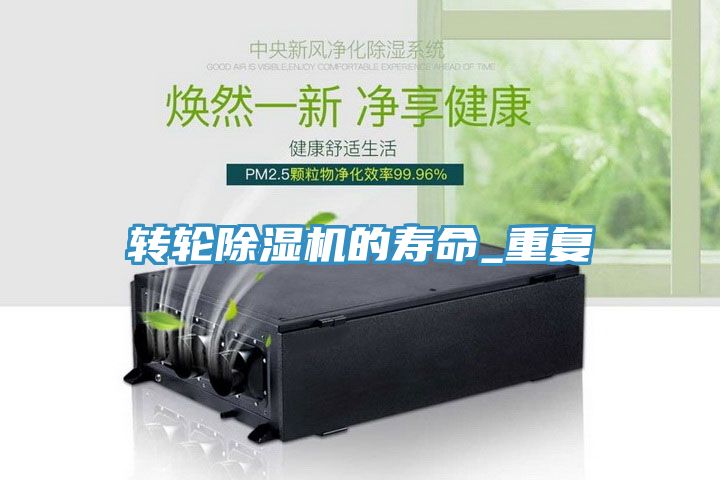 轉輪91看片软件大全的壽命_重複