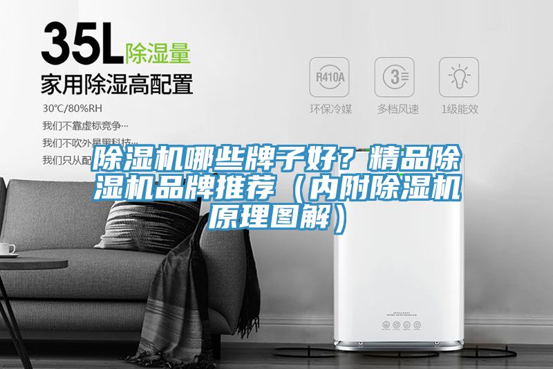 91看片软件大全哪些牌子好？精品91看片软件大全品牌推薦（內附91看片软件大全原理圖解）