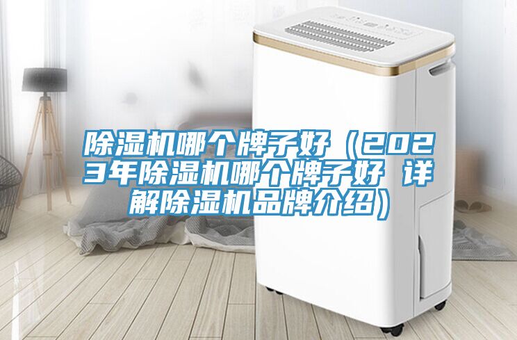 91看片软件大全哪個牌子好（2023年91看片软件大全哪個牌子好 詳解91看片软件大全品牌介紹）