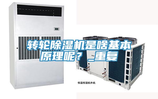 轉輪91看片软件大全是啥基本原理呢？_重複
