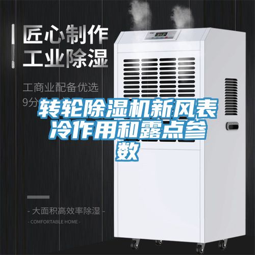 轉輪91看片软件大全新風表冷作用和露點參數
