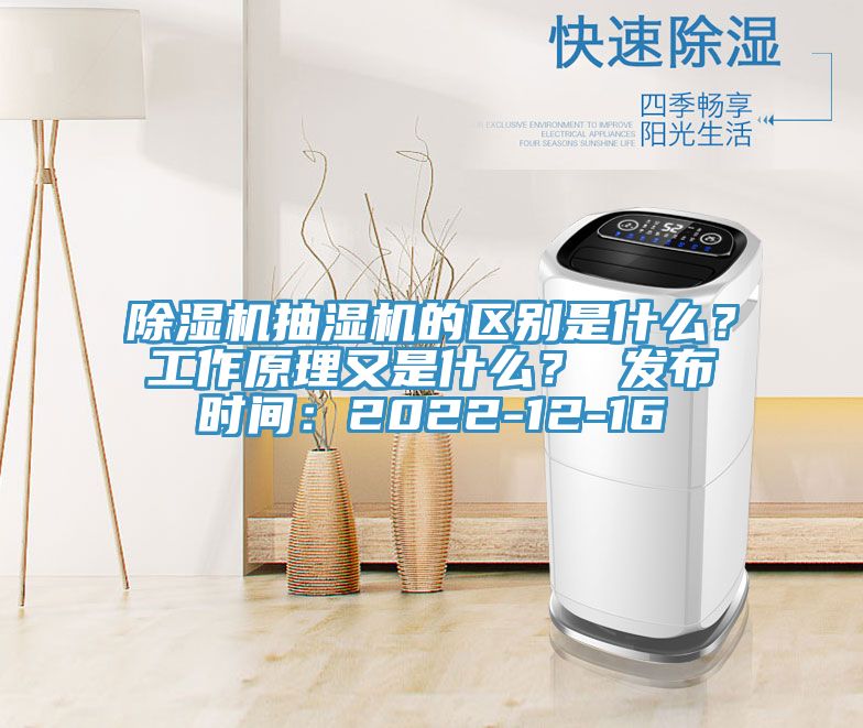 91看片软件大全抽濕機的區別是什麽？工作原理又是什麽？ 發布時間：2022-12-16