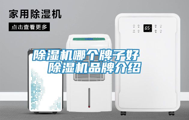 91看片软件大全哪個牌子好  91看片软件大全品牌介紹