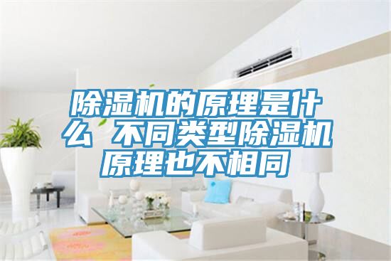 91看片软件大全的原理是什麽 不同類型91看片软件大全原理也不相同
