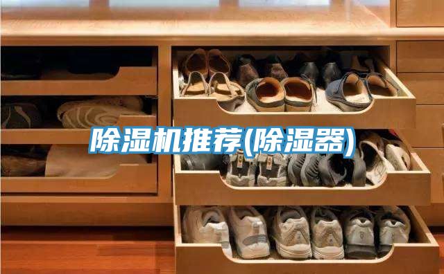 91看片软件大全推薦(除濕器)