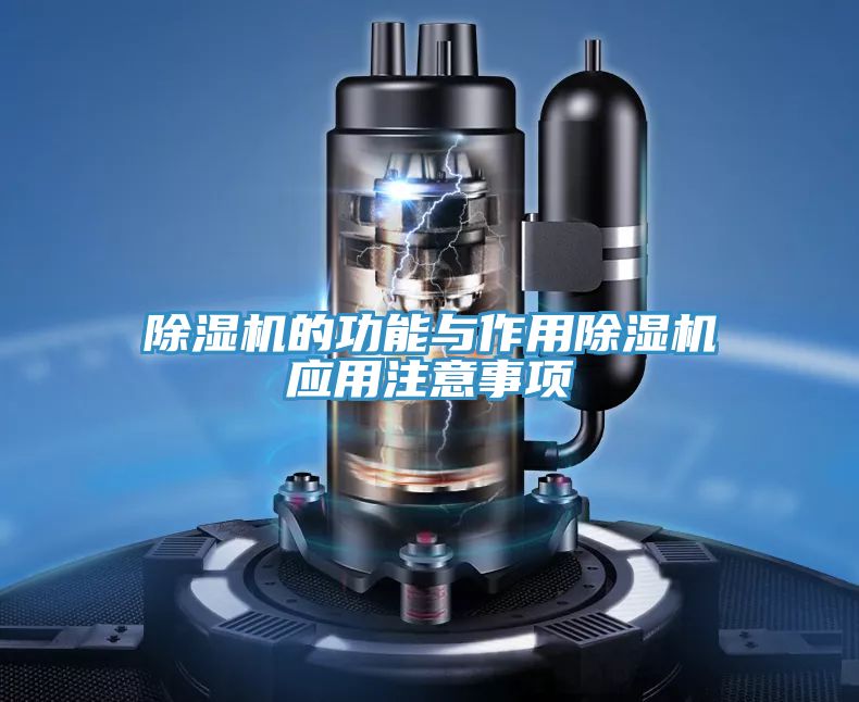 91看片软件大全的功能與作用91看片软件大全應用注意事項