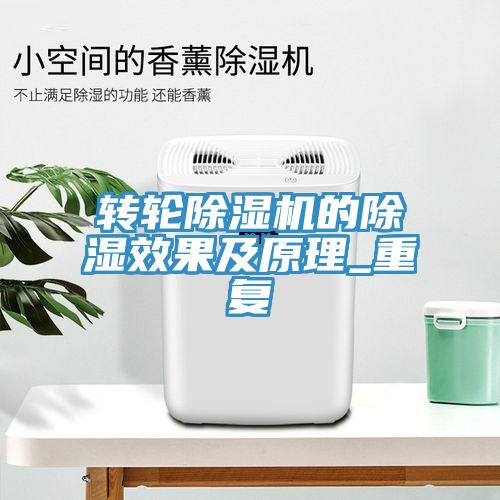 轉輪91看片软件大全的除濕效果及原理_重複