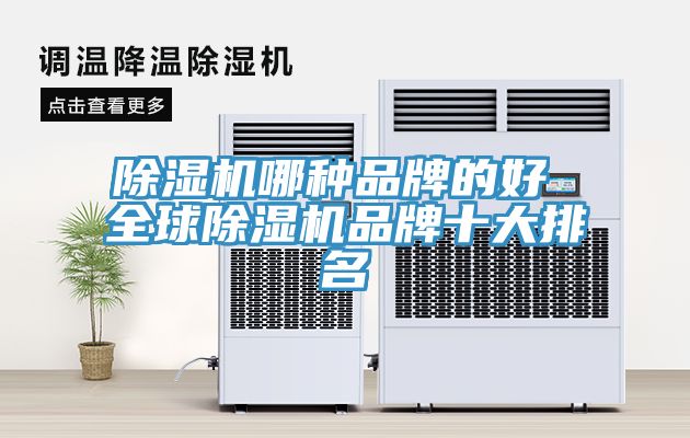 91看片软件大全哪種品牌的好 全球91看片软件大全品牌十大排名