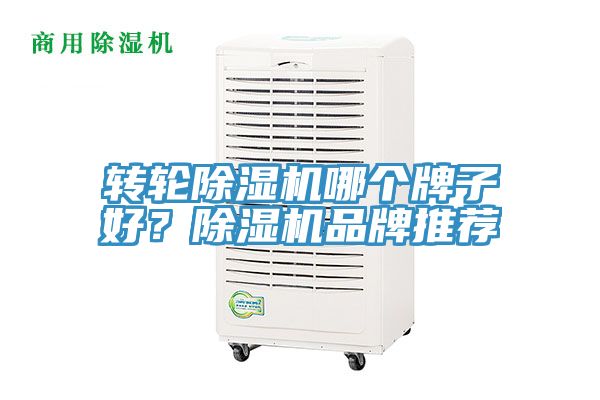 轉輪91看片软件大全哪個牌子好？91看片软件大全品牌推薦