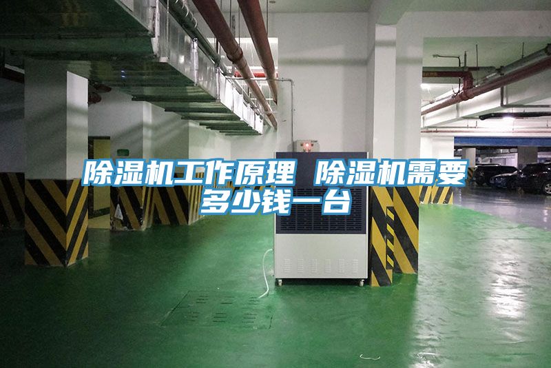 91看片软件大全工作原理 91看片软件大全需要多少錢一台
