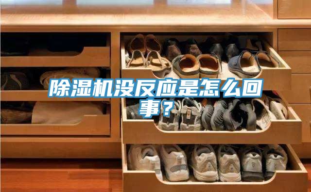 91看片软件大全沒反應是怎麽回事？