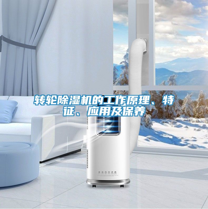 轉輪91看片软件大全的工作原理、特征、應用及保養